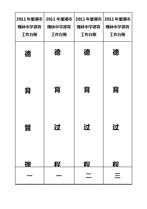 2011年巢湖市槐林中学德育工作台账