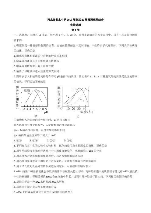 【全国百强校 】河北省衡水中学2017届高三20周周测理科综合生物试题