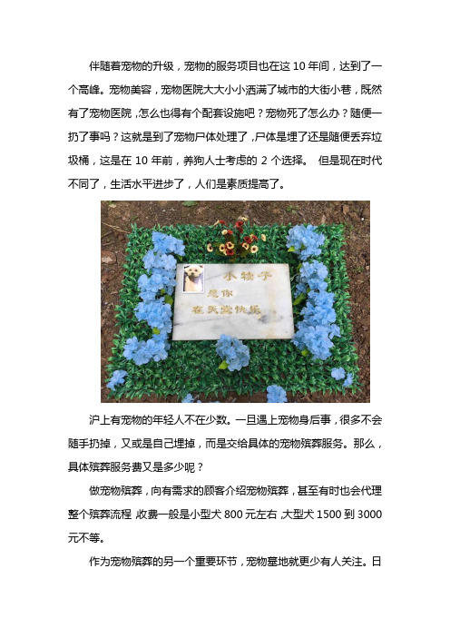 上海宠物殡葬服务收费多少