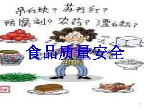 食品安全现状问题PPT课件