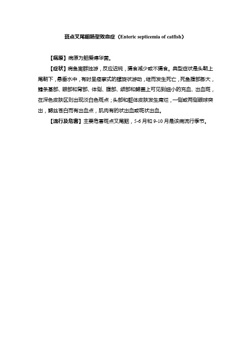 斑点叉尾鮰肠型败血症