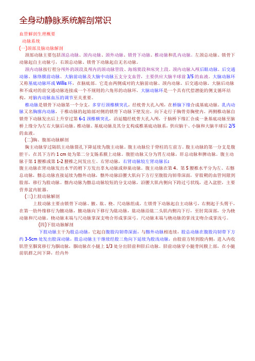 全身动静脉系统解剖常识