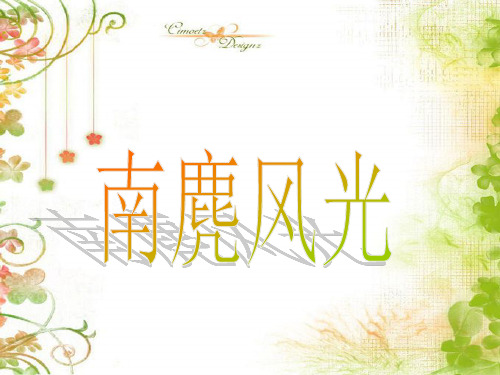 南麂风光
