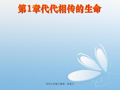 科学七年级下册第一章复习