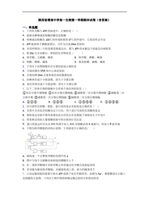陕西省渭南中学高一生物第一学期期末试卷(含答案)