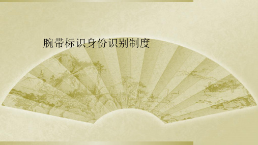 腕带标识身份识别制度