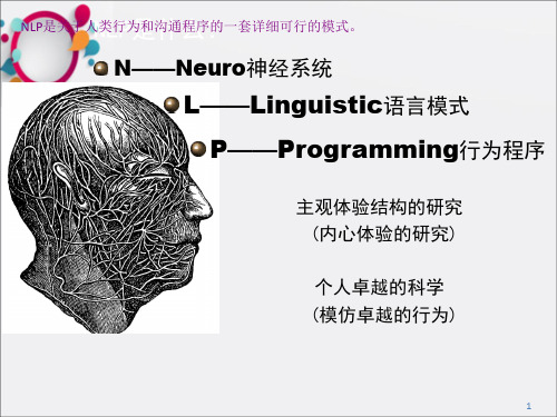 教练支持工具---NL