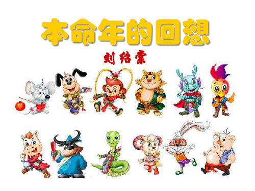《本命年的回想》教材课件ppt