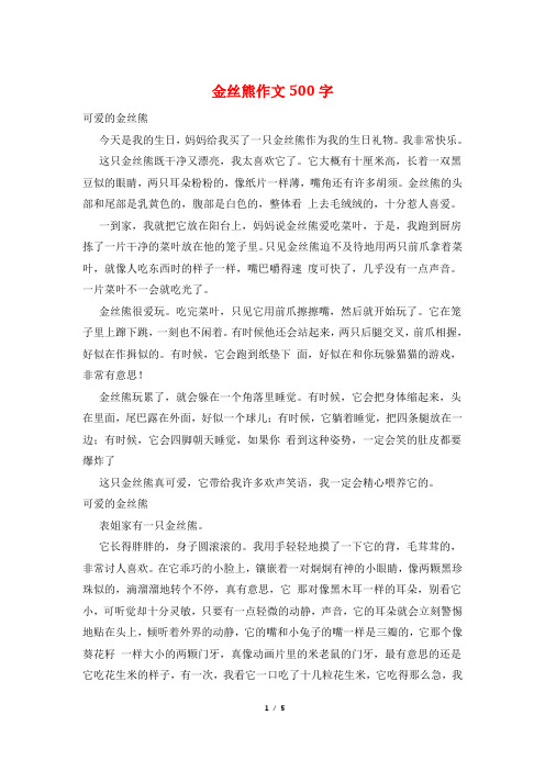金丝熊作文500字