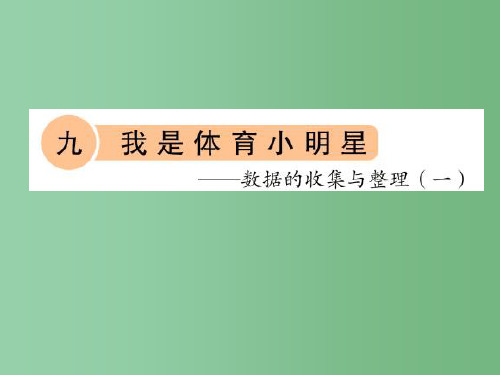 二年级数学下册 第九单元《我是体育小明星 数据的收集与整理(一)》课件4 青岛版