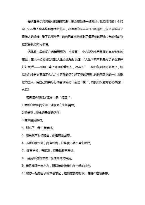 我与狗狗的十个约定影评