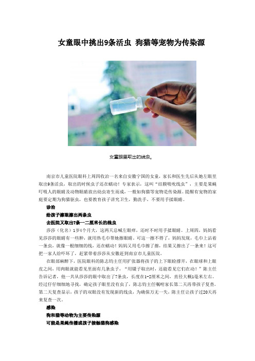 女童眼中挑出9条活虫 狗猫等宠物为传染源