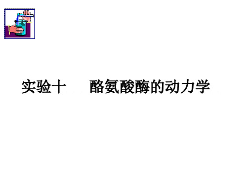 实验10 酪氨酸酶动力学