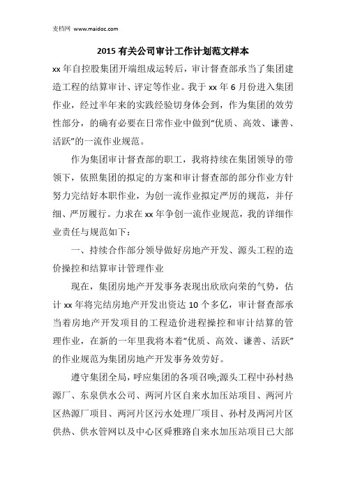 2015有关公司审计工作计划范文样本