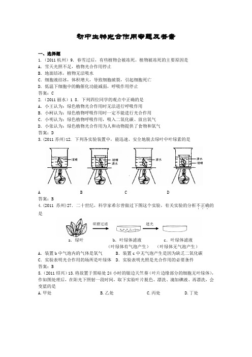 初中生物光合作用专题及答案