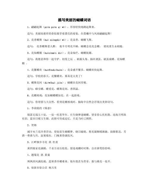 描写美丽的蝴蝶词语