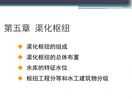 9 渠化工程