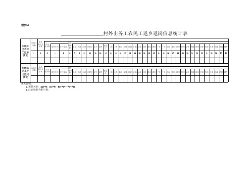 村外出务工农民工返乡返岗信息统计表