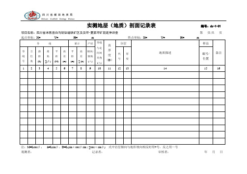 2020年固体矿产勘查(地质)原始记录表格参照模板可编辑
