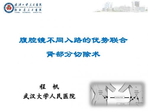 腹腔镜肾部分切除的入路