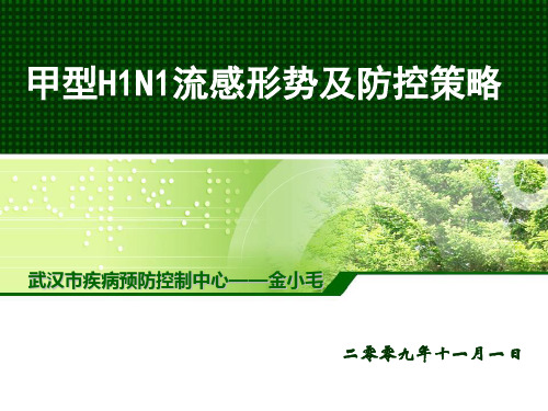 甲型H1N1流感形势及防控策略