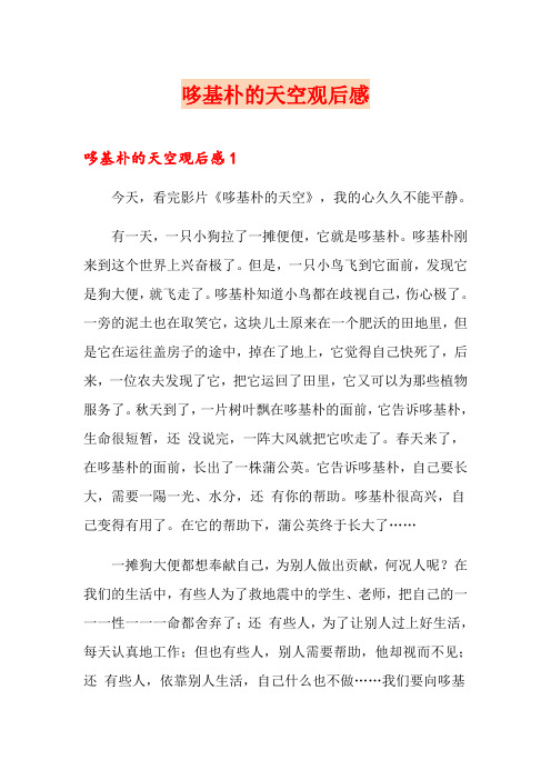 哆基朴的天空观后感