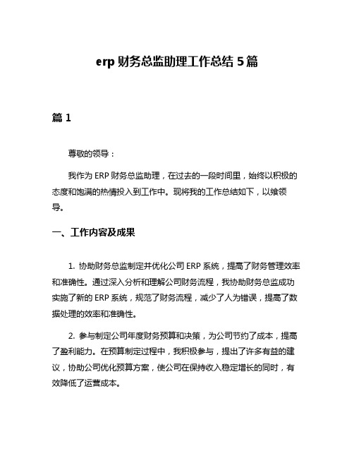 erp财务总监助理工作总结5篇