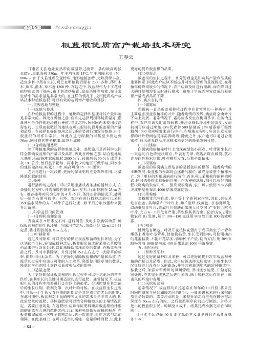 板蓝根优质高产栽培技术研究