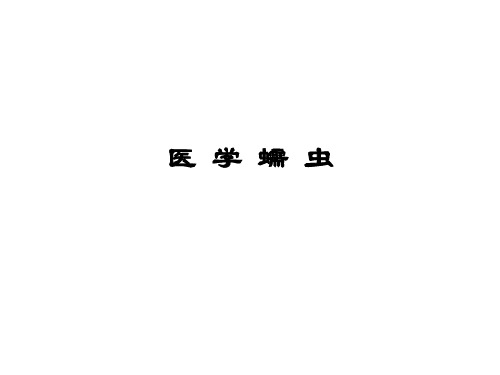 医学蠕虫