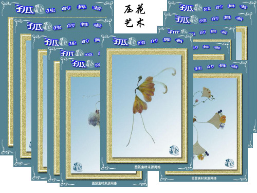 压花