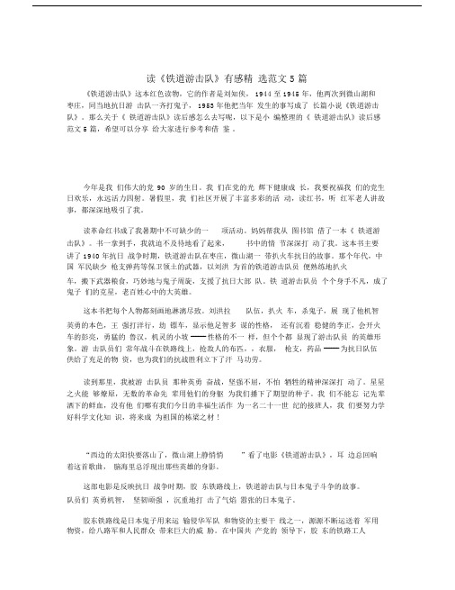 读《铁道游击队》有感精选范文5篇.doc