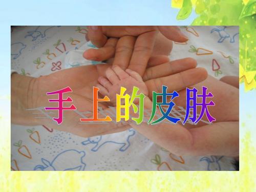 北师大版小学四下《手上的皮肤》ppt课件(1)PPT、优质教学课件