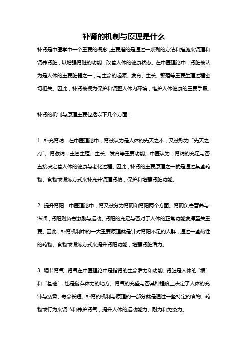 补肾的机制与原理是什么