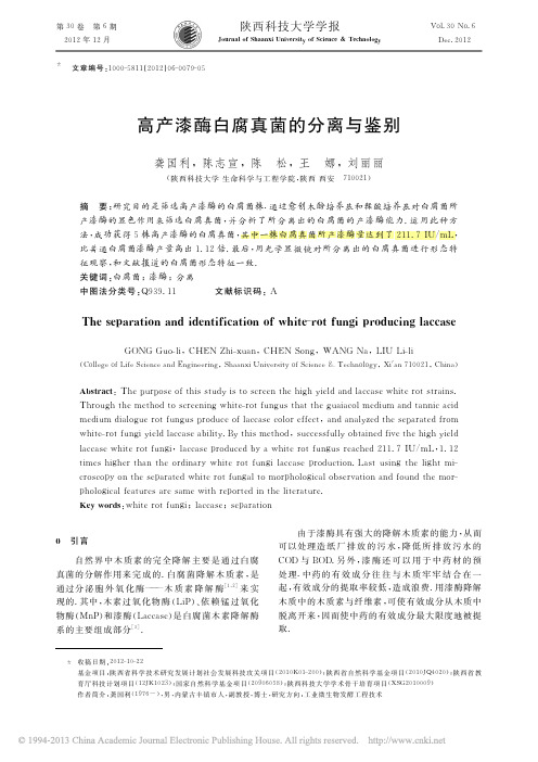 高产漆酶白腐真菌的分离与鉴别