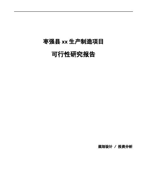 枣强县可行性研究报告(立项备案模板)