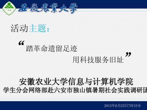 三下乡PPT汇报