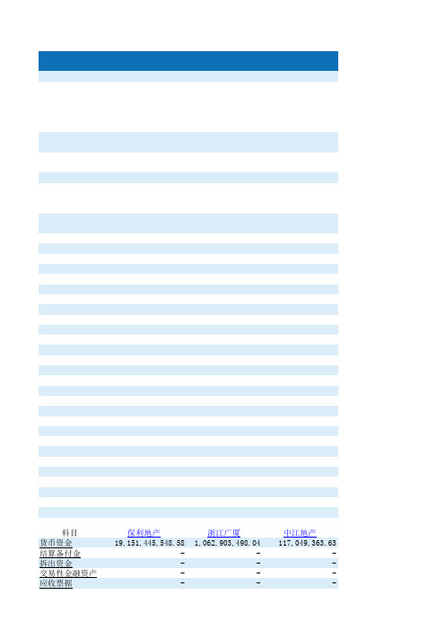 2010年度房地产公司资产负债表等表