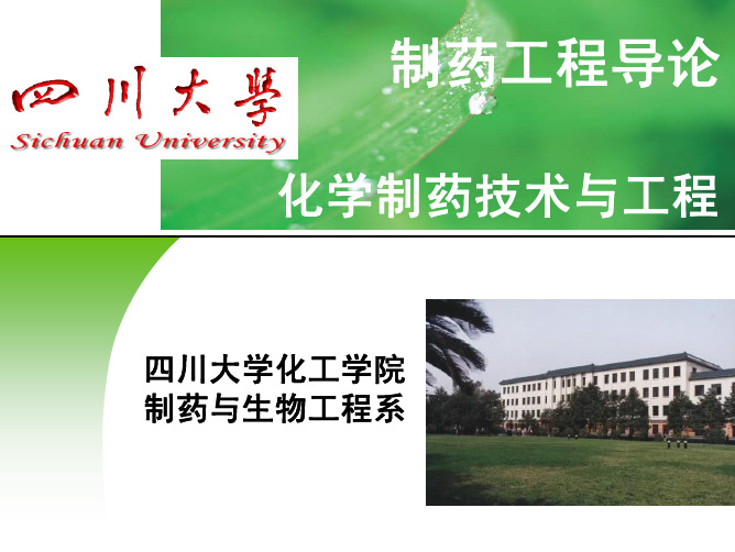 制药工程导论化学制药技术与工程.pdf