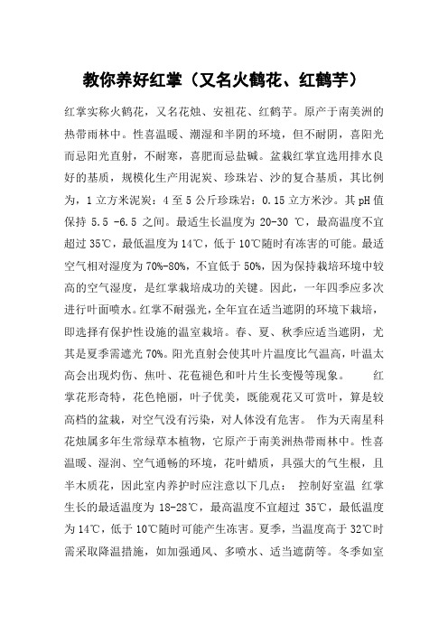 教你养好红掌(又名火鹤花、红鹤芋)