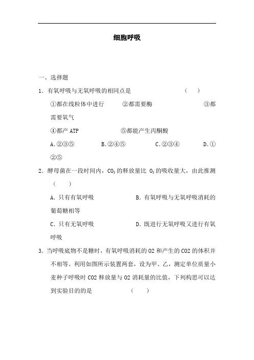 最新高中生物-高一生物细胞呼吸同步练习题1 精品