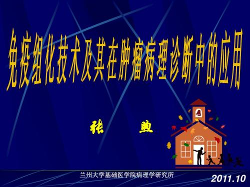 免疫组化(新)