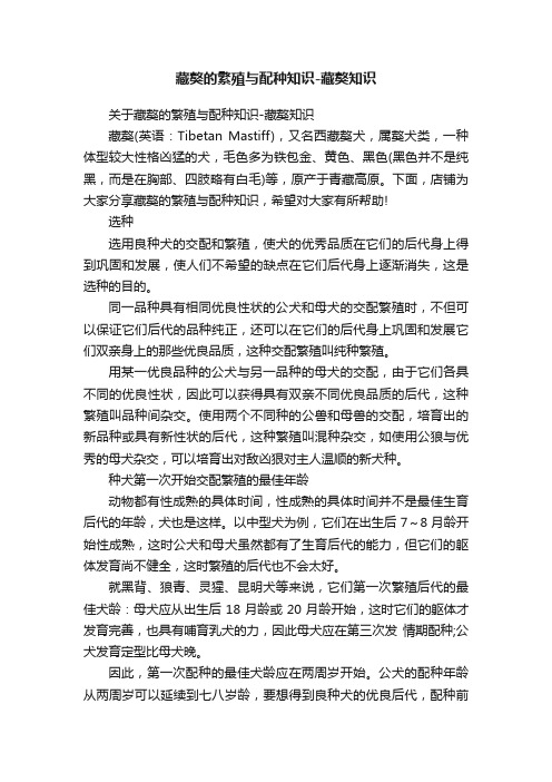 藏獒的繁殖与配种知识-藏獒知识