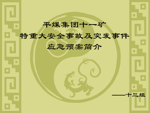 平煤集团十一矿
