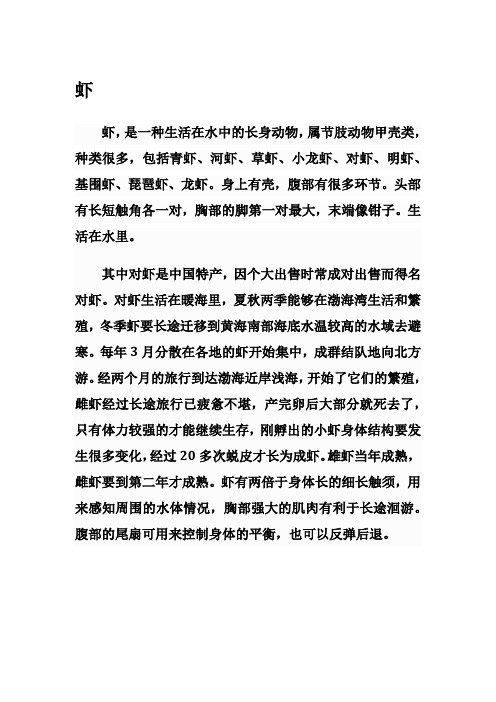 虾