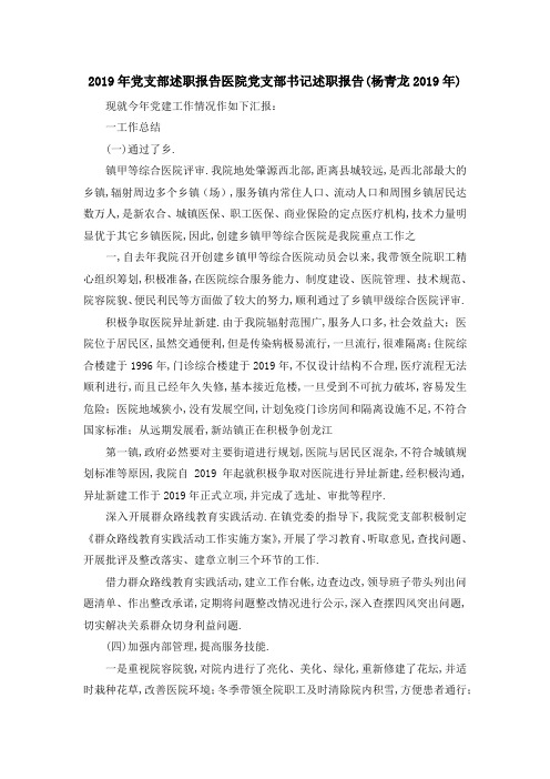 2019年党支部述职报告 医院党支部书记述职报告(杨青龙2019年) 精品
