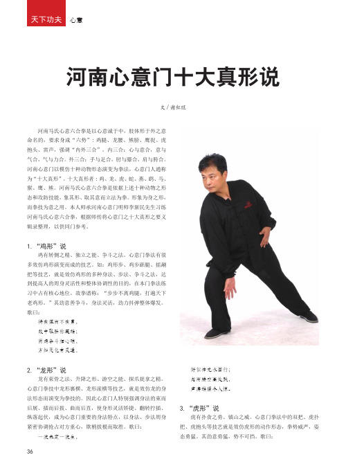 河南心意门十大真形说