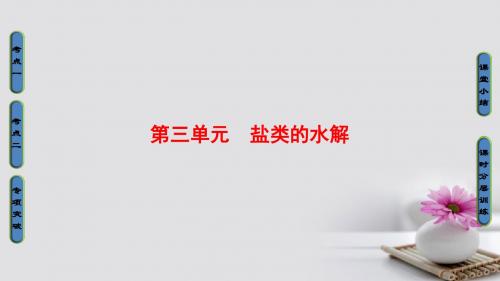 2018高三化学一轮复习专题8第3单元盐类的水解课件