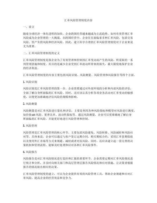 汇率风险管理制度内容