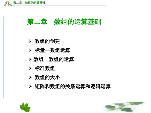 第三章数组运算基础