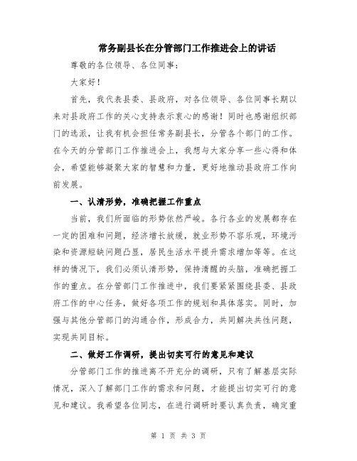 常务副县长在分管部门工作推进会上的讲话